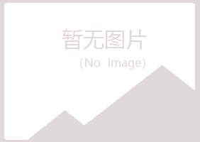 包头青山忆伤金属有限公司